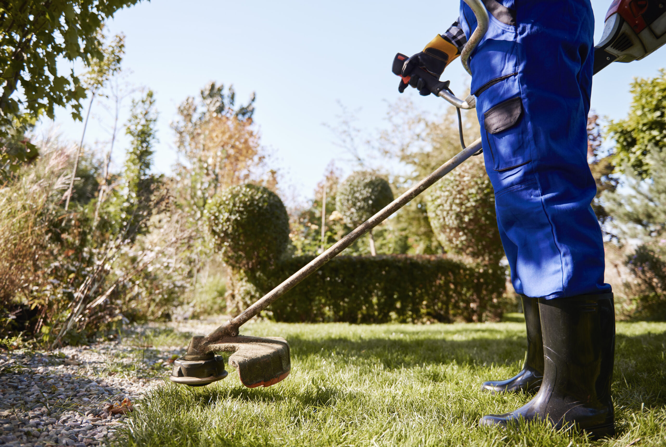 gardener with weedwacker cutting grass garden scaled